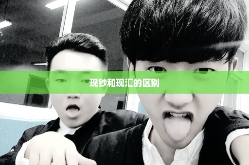 现钞和现汇的区别