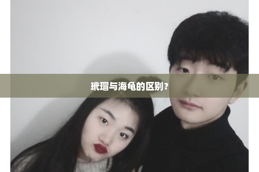 玳瑁与海龟的区别？