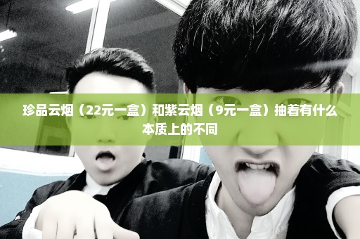 珍品云烟（22元一盒）和紫云烟（9元一盒）抽着有什么本质上的不同