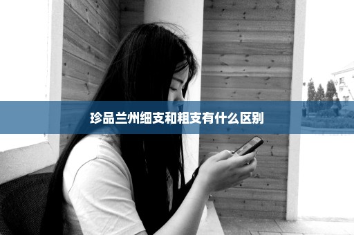 珍品兰州细支和粗支有什么区别