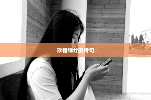 珍惜缘分的诗句
