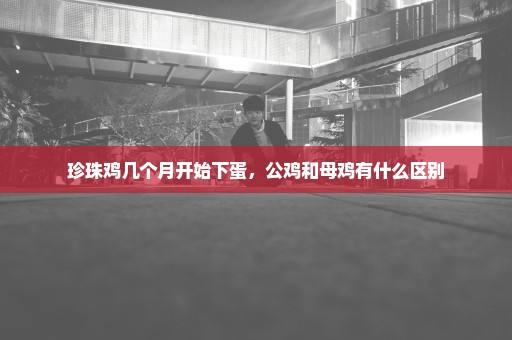 珍珠鸡几个月开始下蛋，公鸡和母鸡有什么区别