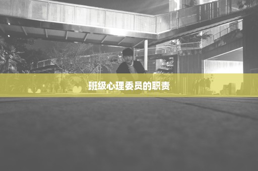 班级心理委员的职责