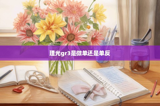 理光gr3是微单还是单反