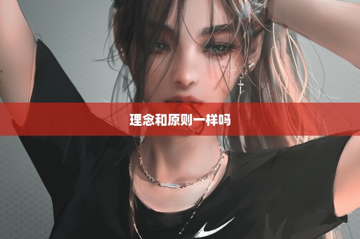 理念和原则一样吗