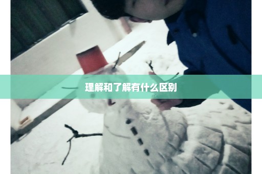 理解和了解有什么区别