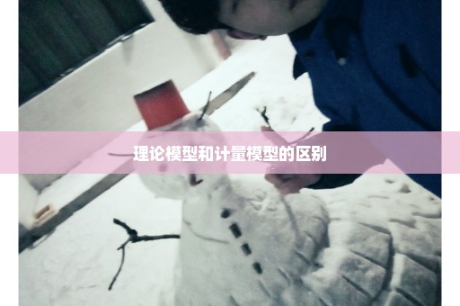 理论模型和计量模型的区别