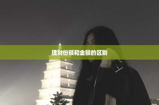 理财份额和金额的区别