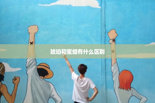琥珀和蜜蜡有什么区别
