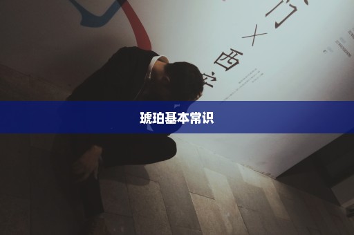 琥珀基本常识