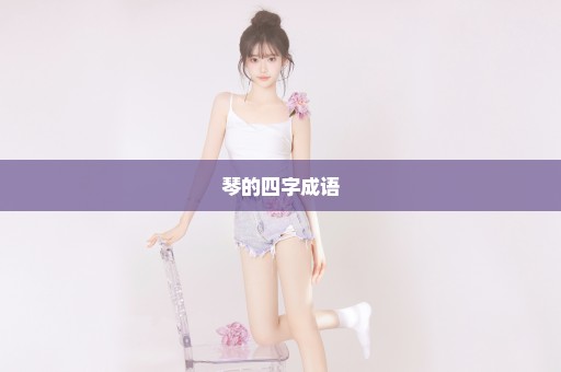 琴的四字成语
