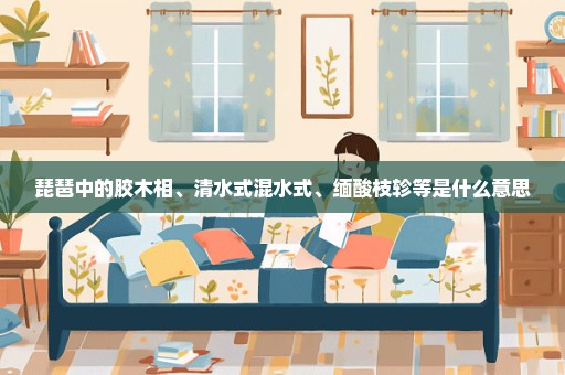 琵琶中的胶木相、清水式混水式、缅酸枝轸等是什么意思