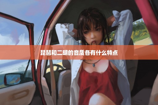 琵琶和二胡的音质各有什么特点