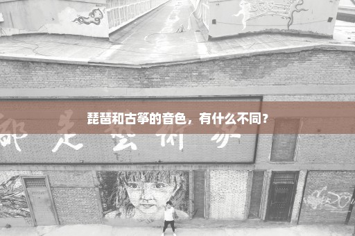 琵琶和古筝的音色，有什么不同？