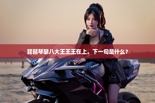 琵琶琴瑟八大王王王在上。下一句是什么？