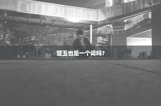 璧玉也是一个词吗？