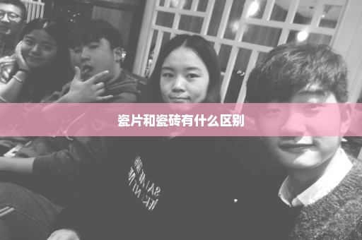 瓷片和瓷砖有什么区别