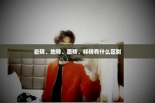 瓷砖、地砖、面砖、样砖有什么区别