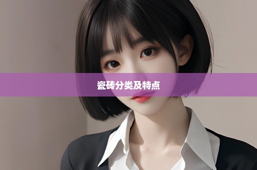 瓷砖分类及特点