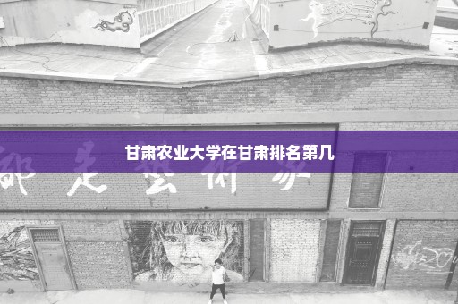 甘肃农业大学在甘肃排名第几