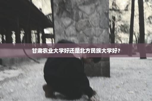 甘肃农业大学好还是北方民族大学好？