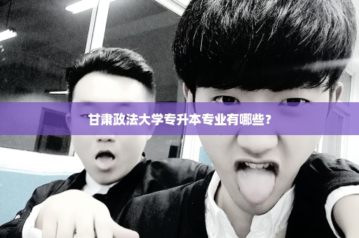甘肃政法大学专升本专业有哪些？
