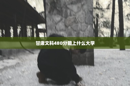 甘肃文科480分能上什么大学