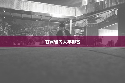 甘肃省内大学排名