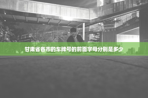 甘肃省各市的车牌号的前面字母分别是多少