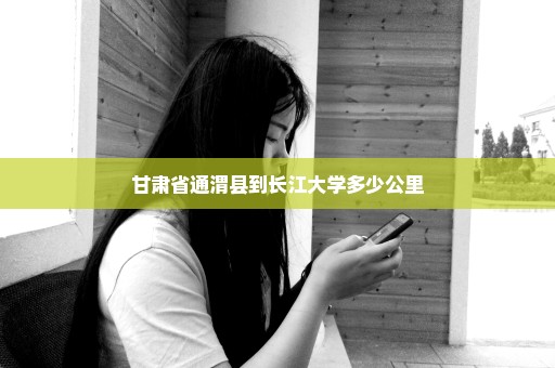 甘肃省通渭县到长江大学多少公里