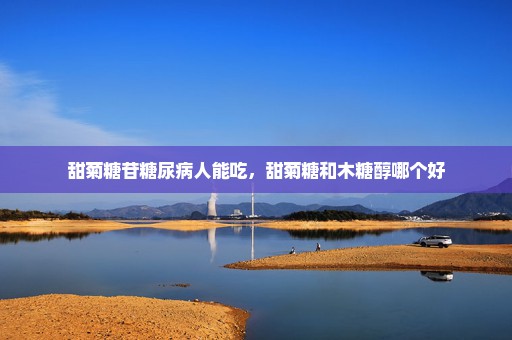 甜菊糖苷糖尿病人能吃，甜菊糖和木糖醇哪个好