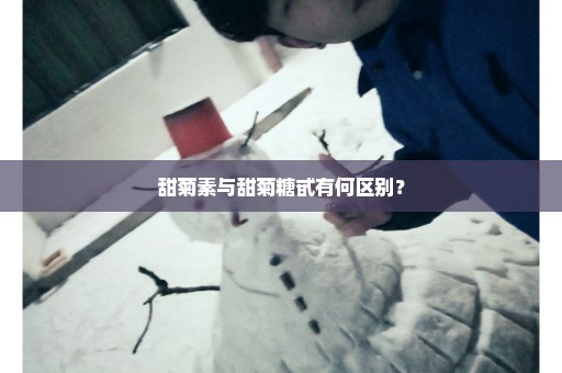 甜菊素与甜菊糖甙有何区别？
