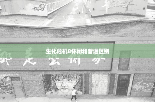 生化危机8休闲和普通区别