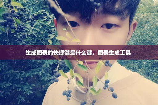 生成图表的快捷键是什么键，图表生成工具 