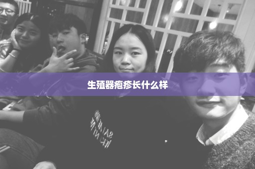 生殖器疱疹长什么样