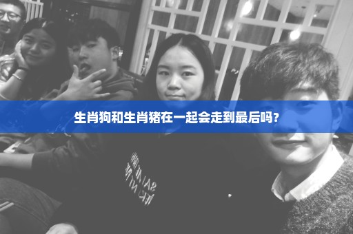 生肖狗和生肖猪在一起会走到最后吗？