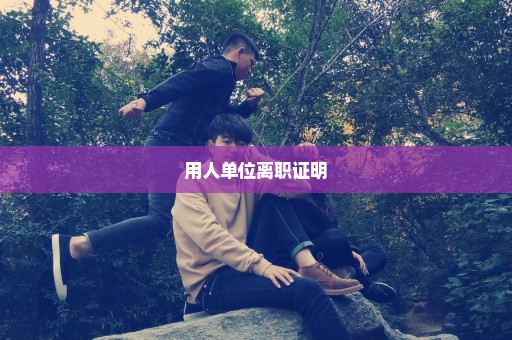 用人单位离职证明