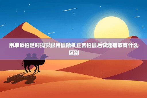 用单反拍延时摄影跟用摄像机正常拍摄后快速播放有什么区别