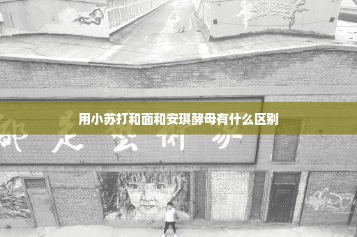 用小苏打和面和安琪酵母有什么区别