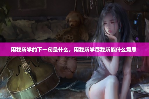 用我所学的下一句是什么，用我所学尽我所能什么意思 