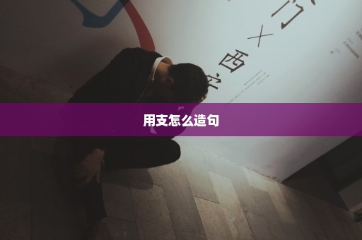 用支怎么造句