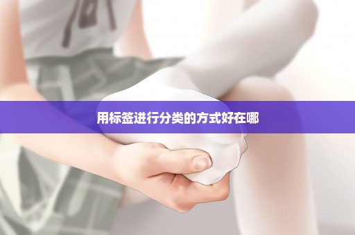 用标签进行分类的方式好在哪