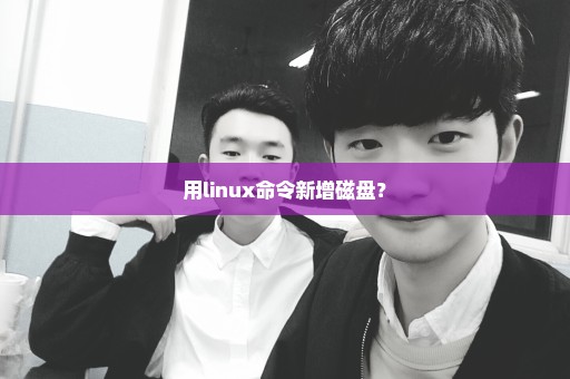 用linux命令新增磁盘？