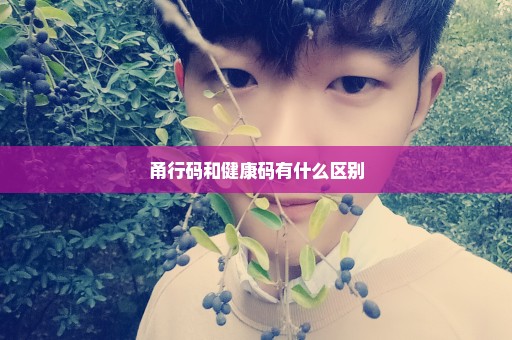 甬行码和健康码有什么区别