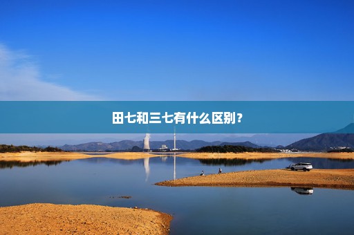 田七和三七有什么区别？