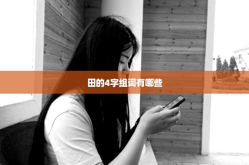 田的4字组词有哪些