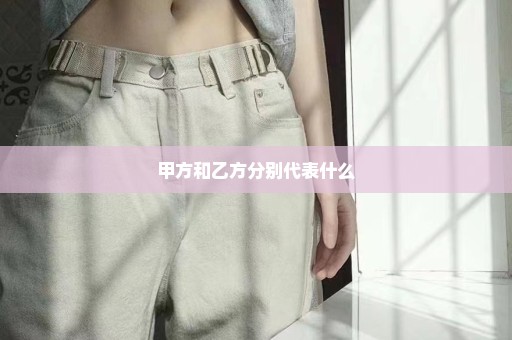 甲方和乙方分别代表什么
