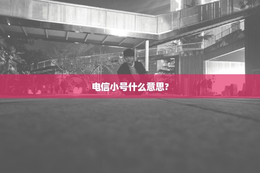 电信小号什么意思?