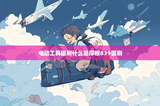 电动工具碳刷什么是摩根839碳刷