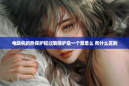 电动机的热保护和过载保护是一个意思么 有什么区别